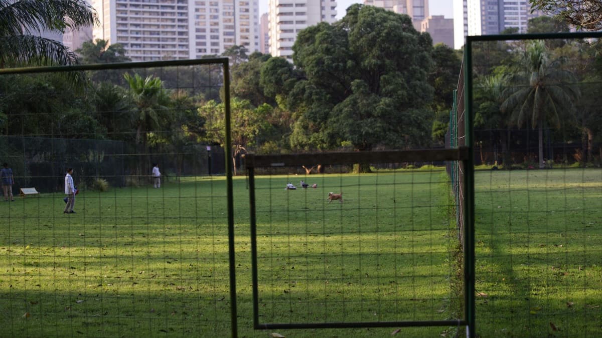 Dog Runs in Singapore: 26 NParks Runs, Hours and MRT (2026)