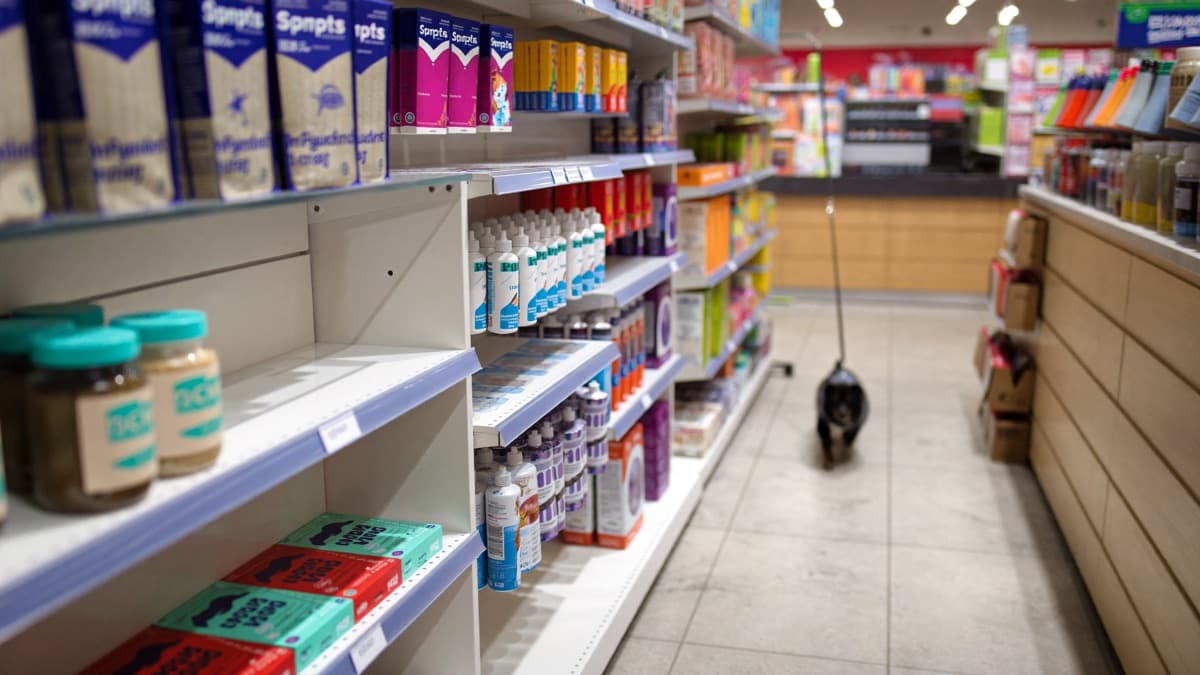 Pet Shops in Singapore: Where to Buy Supplies vs Where Puppies Are Sold