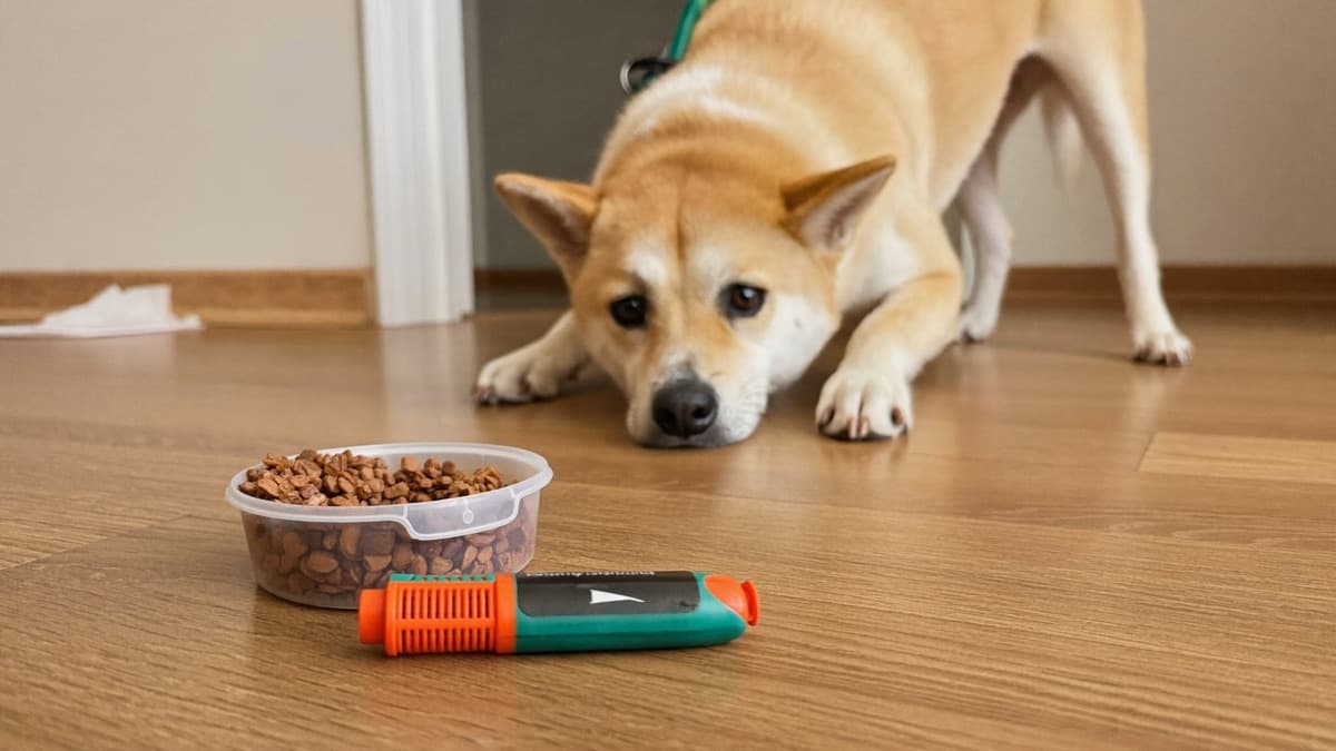 Clicker Training for Dogs: How Marker Training Works and Why It's So Fast