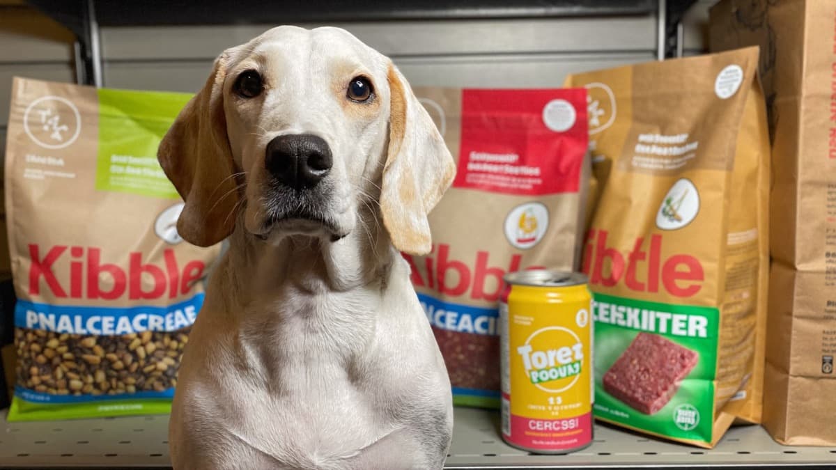 How to Choose Dog Food: A Vet-Informed Guide for SG & MY Owners