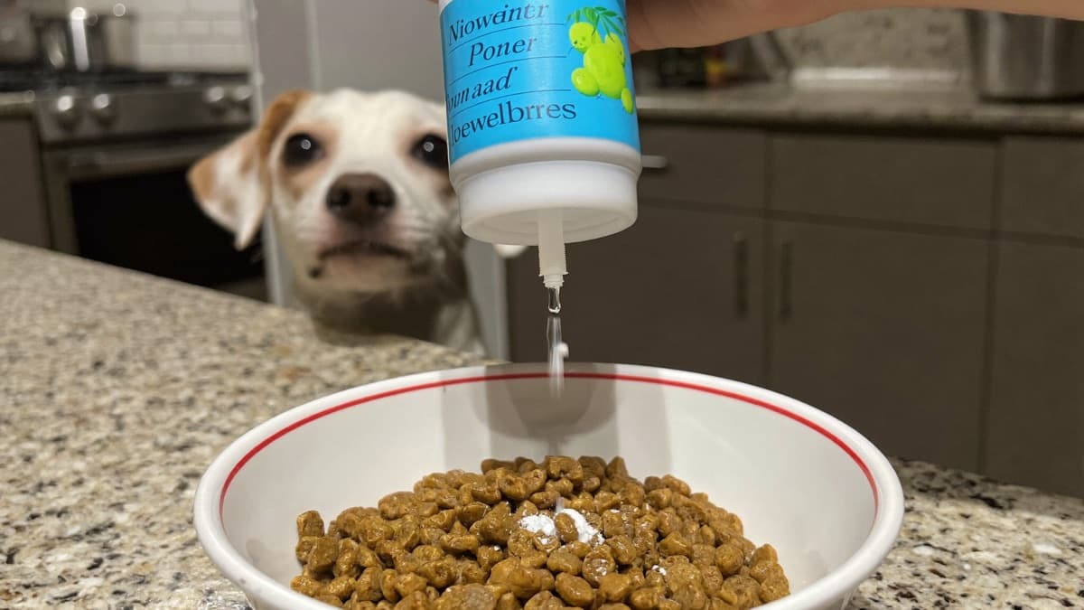 Probiotics for Dogs: When They Work and When They're a Waste