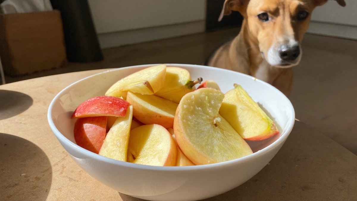 Frozen apple chunks make a cooling chew on a humid afternoon