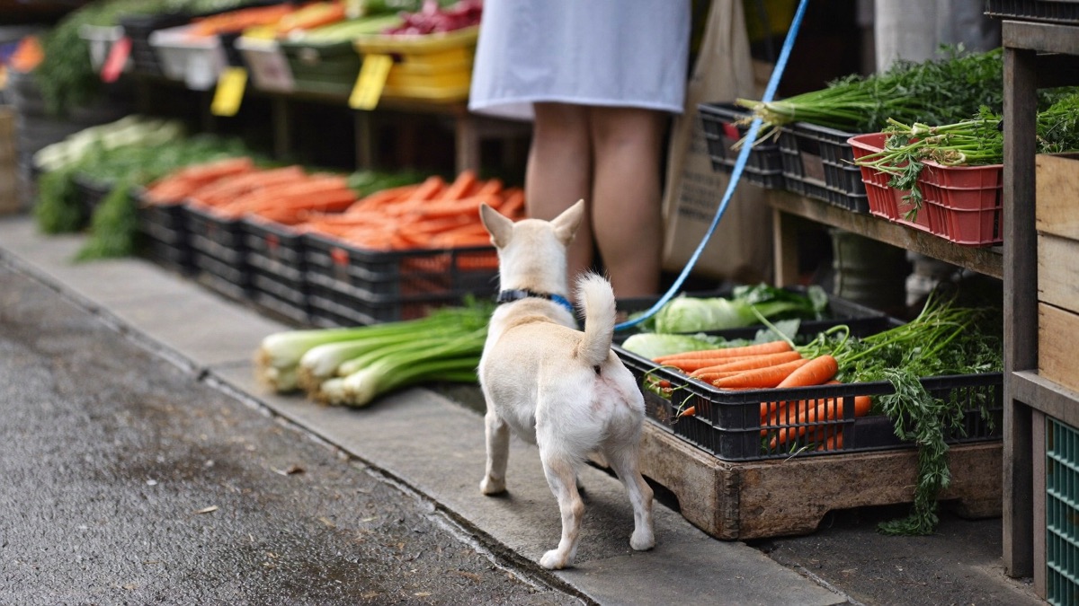 Fresh carrots are easy to find at any wet market or supermarket across Singapore and Malaysia