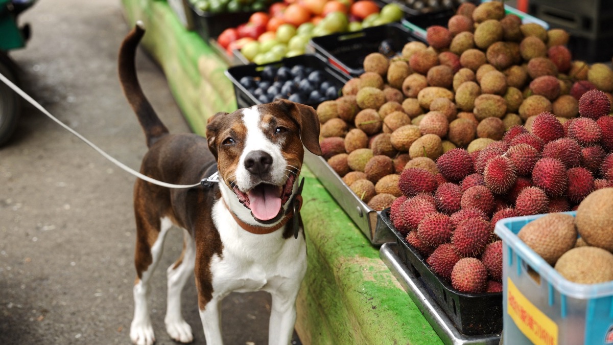 Lychee, longan and rambutan season fills the markets — one set of rules covers all three fruits