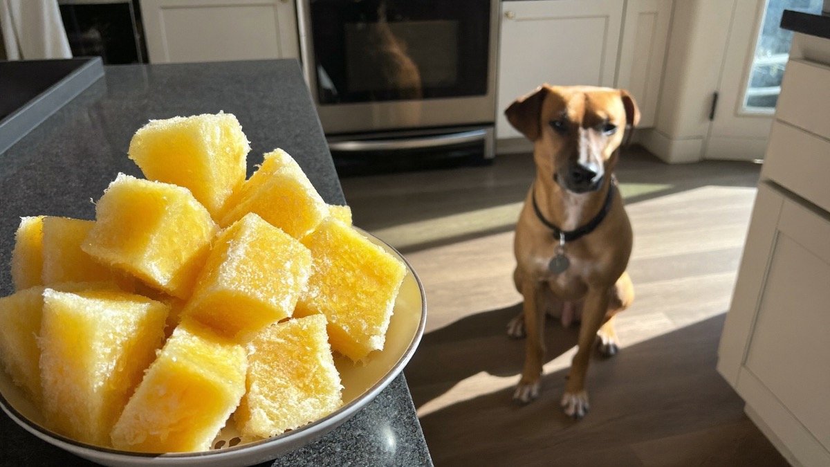 Frozen mango cubes make a good cooling treat in the heat