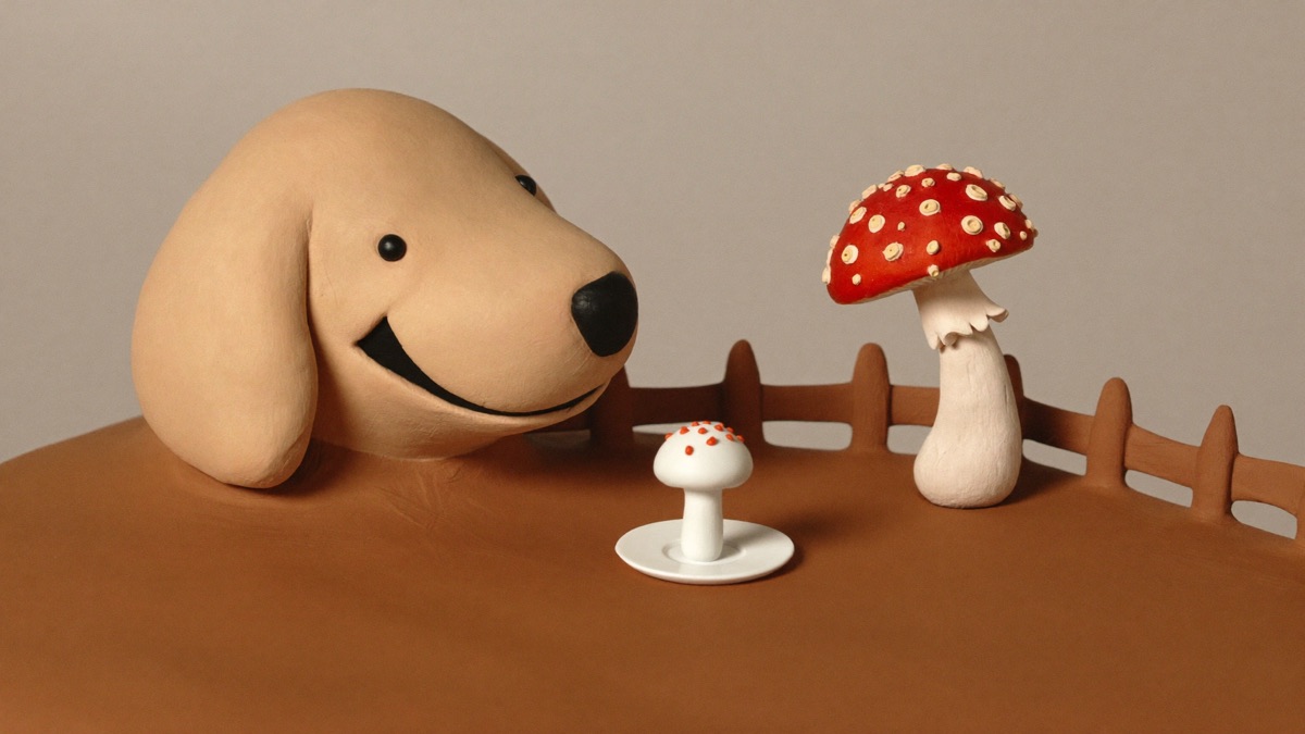 Shop mushrooms on a plate are fine — anything growing wild stays behind the fence, no exceptions