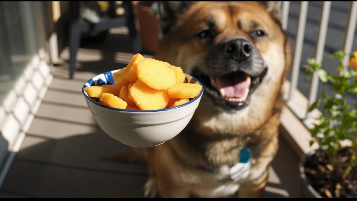 Frozen pineapple chunks are an easy cooling treat in our climate