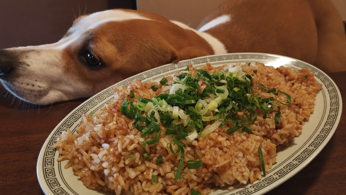 Fried and hawker rice hides onion and garlic — keep it off the menu