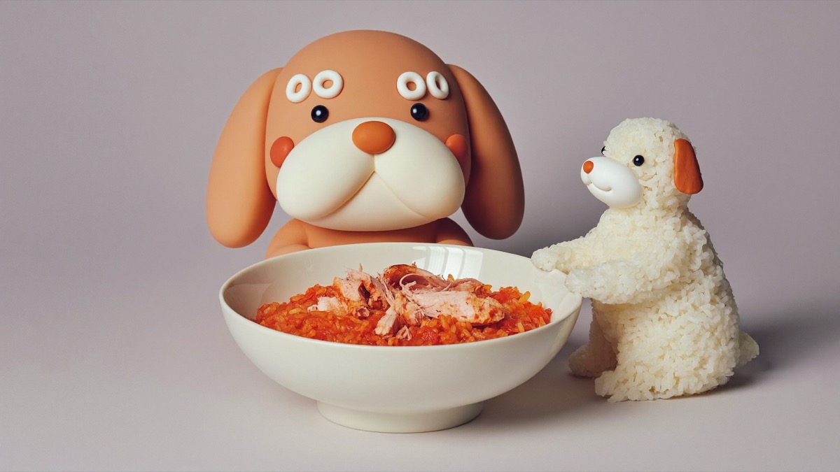 Plain white rice with boiled chicken is the classic bland-diet mix