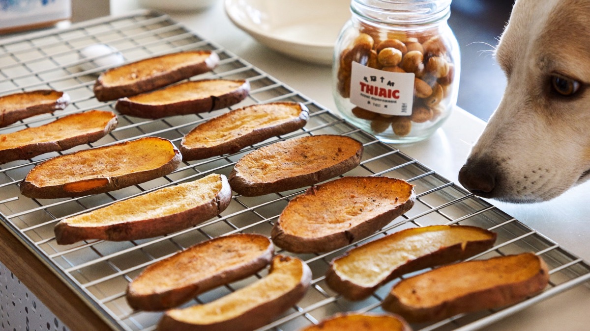 Dehydrated sweet potato slices make a chewy single-ingredient treat that keeps well in the pantry