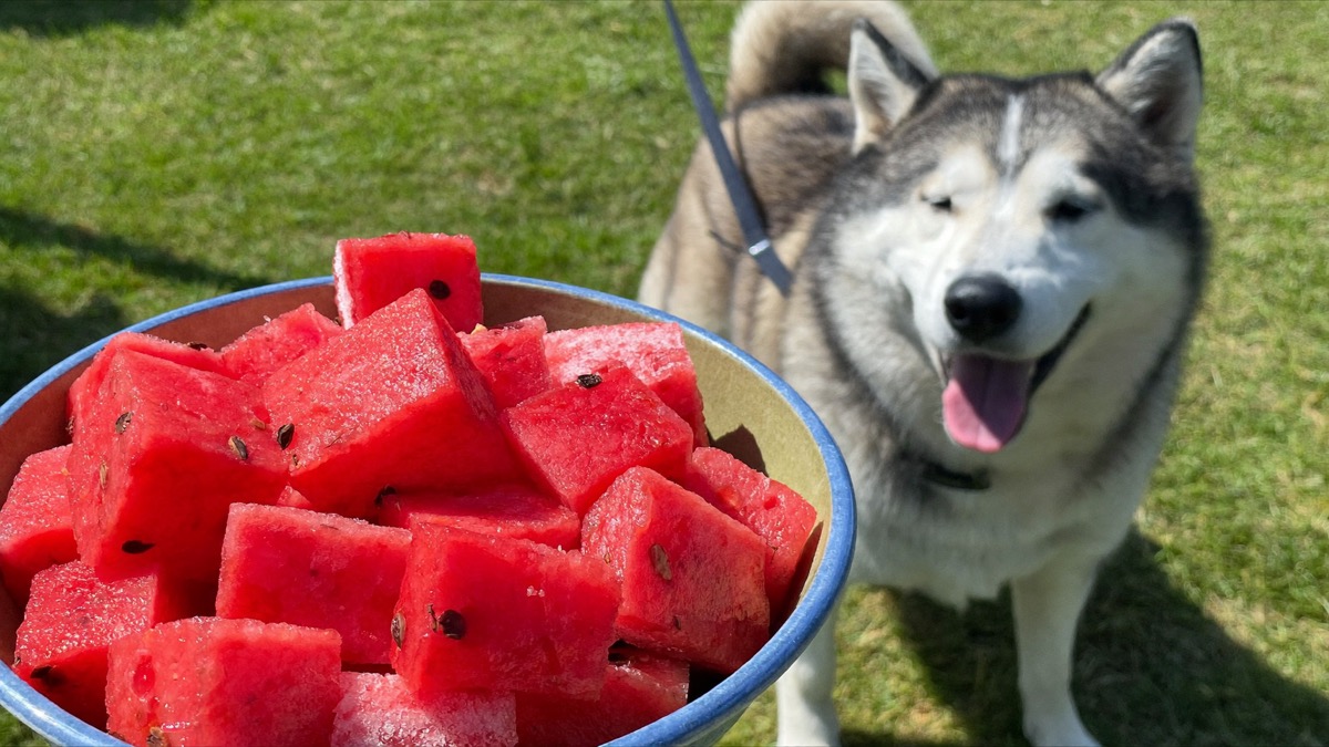 Chilled or frozen watermelon is a top hot-weather treat