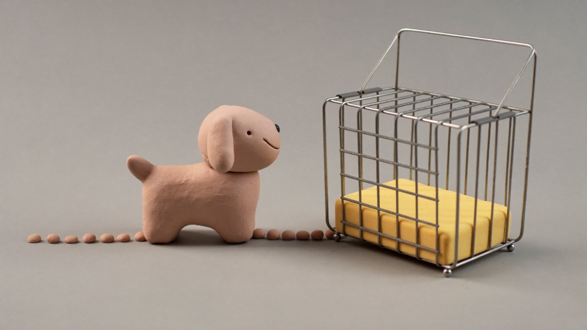 A treat trail leading into an open crate teaches the puppy that walking in is always their choice — and always pays