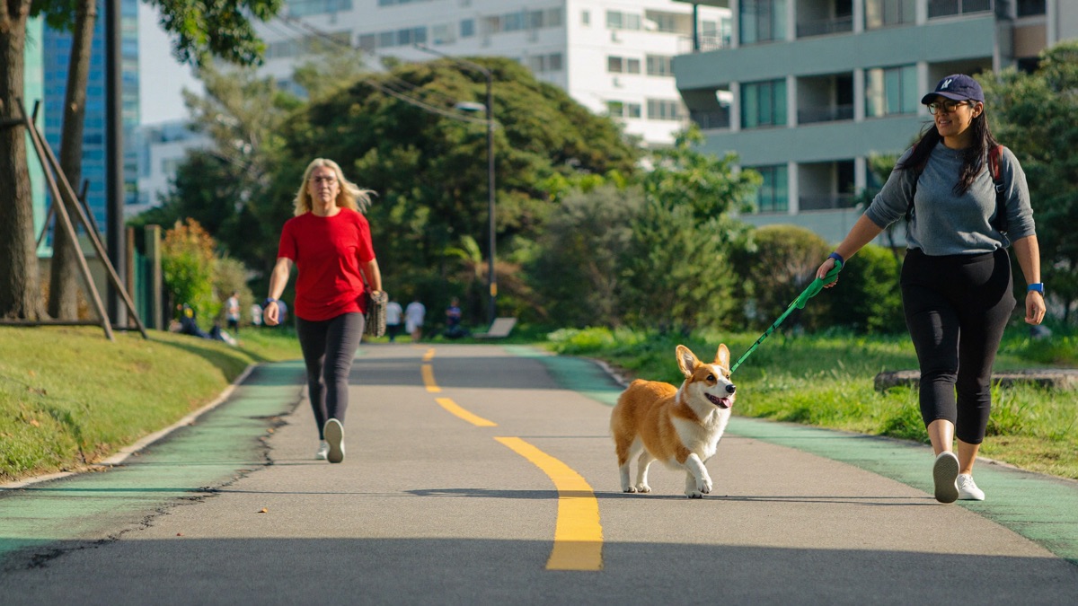 Everyday Singapore moments — lift lobbies, void decks, park connectors — are where greeting manners matter most