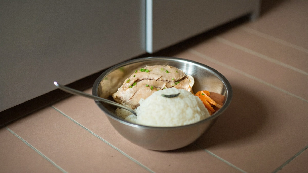 Plain boiled chicken and white rice, roughly one part chicken to two parts rice, fed in small portions