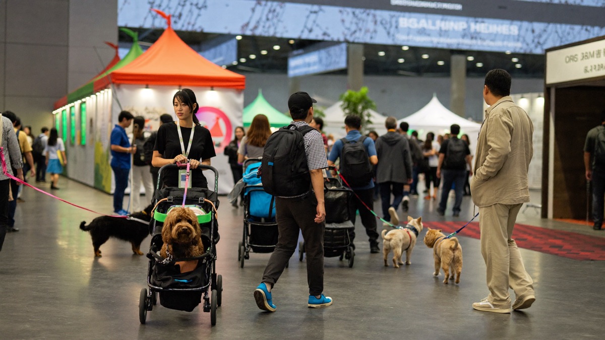 Expo day: air-conditioned crowds, booths and very good dogs everywhere