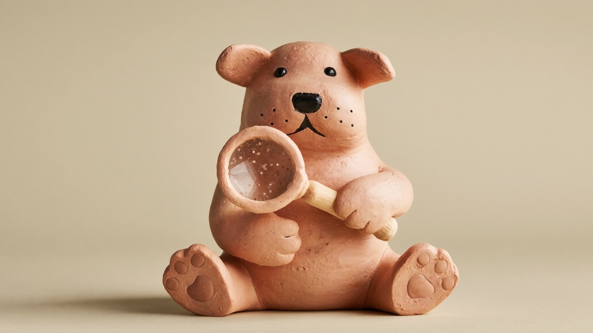 An itchy paw usually has a hidden cause between the toes — allergy-inflamed skin and yeast that thrives in trapped moisture