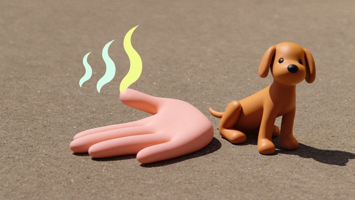 If you can't hold your hand on the pavement for 7 seconds, it's too hot for paws