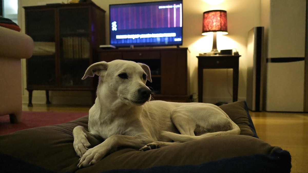 Everyday wins count: sharing a quiet evening at home without pressure is the training