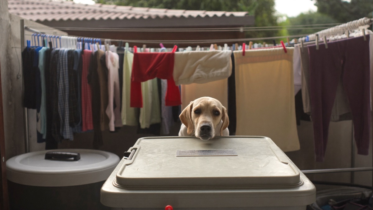 With the hamper shut and a legal game on offer, the sock loses its shine