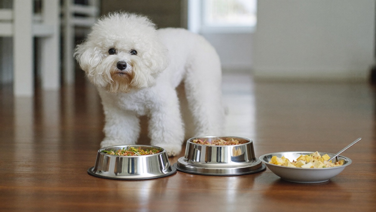 Stainless steel bowls washed daily are a cheap win against face and chin staining