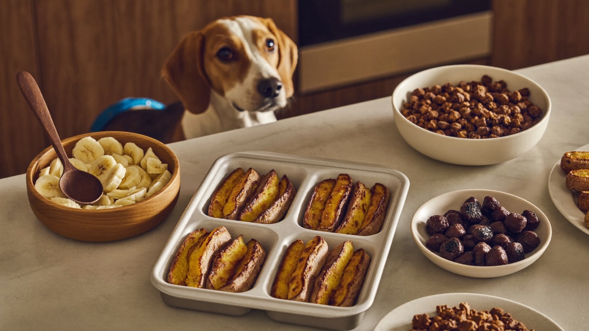 No preservatives means airtight storage and the fridge or freezer in this humidity