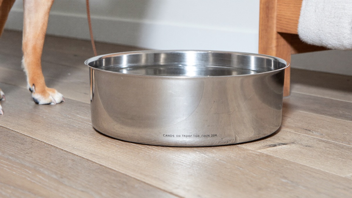 Keep fresh water in at least two spots and wash the bowl daily in this climate