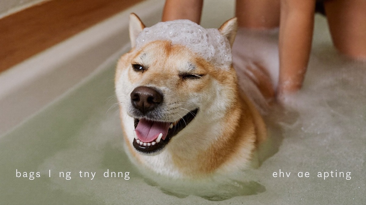 Most dogs here do best with a bath every one to two weeks