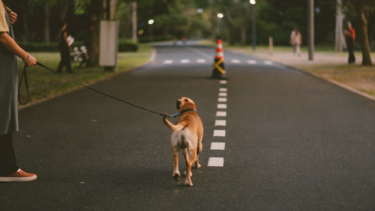 Walk before 8am or after 7pm — timing matters more than distance in the tropics