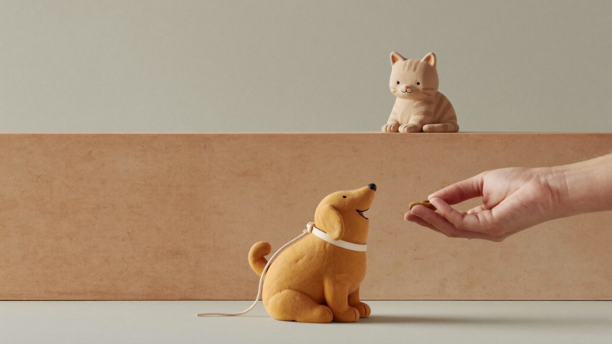 Cat in sight, dog checks in — paying the look-away is the whole game