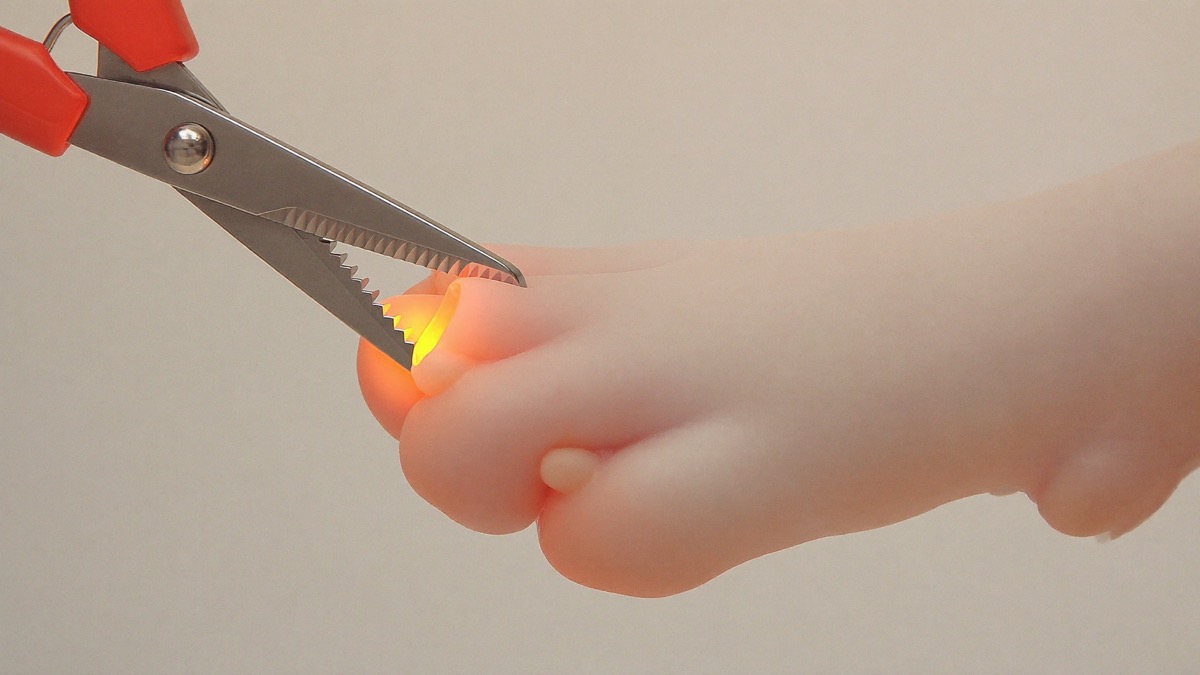 Cut a few millimetres beyond the quick — small slices, never one big confident cut