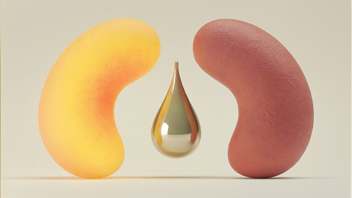 Early kidney disease still has plenty of bright, working capacity to protect