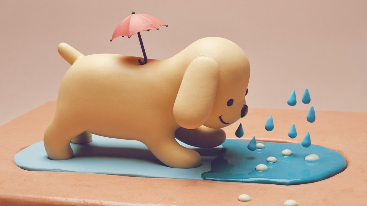 Stepping around puddles, not through them, is real leptospirosis prevention on rainy-season walks