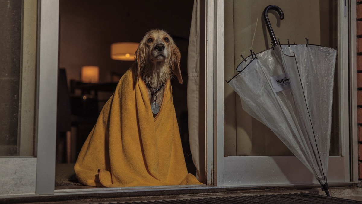 The towel by the door is wet-season equipment, not decor