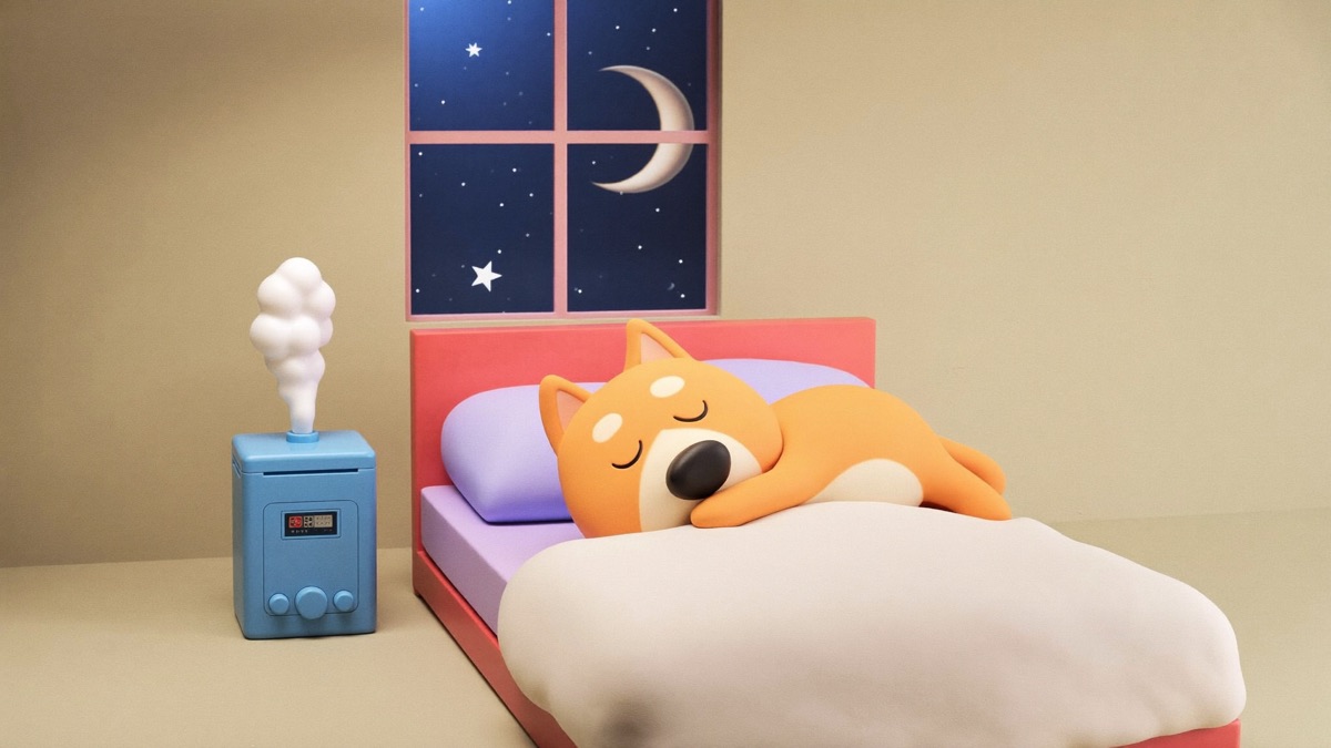 The goal state: white noise masking the building, a dark quiet room, and a dog that sleeps through 2am
