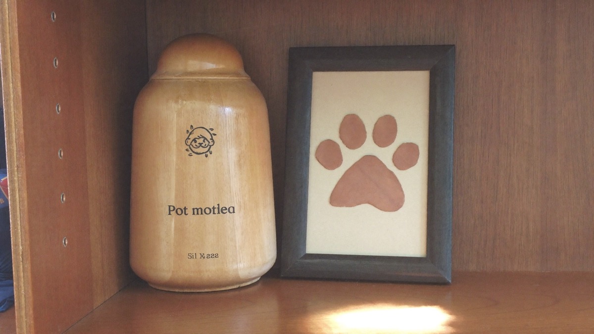 Ashes can come home in an urn, a keepsake, or a paw print