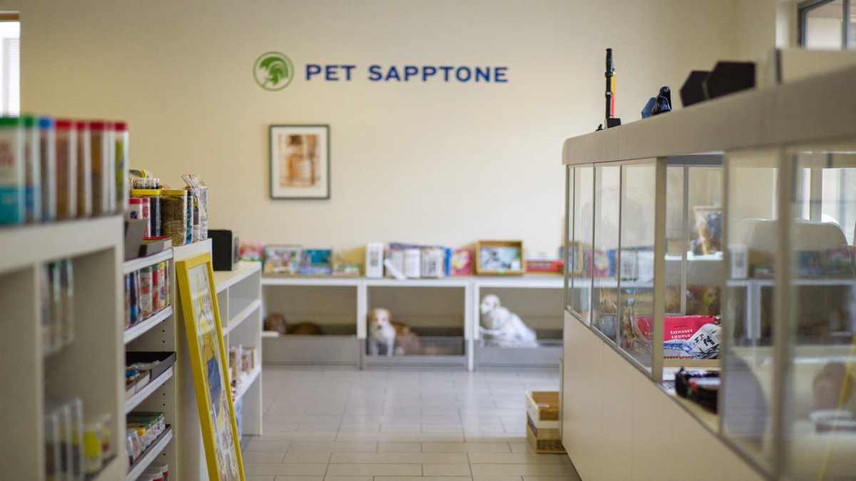 Check each shop's AVS licence individually — a famous pet strip is not a licence