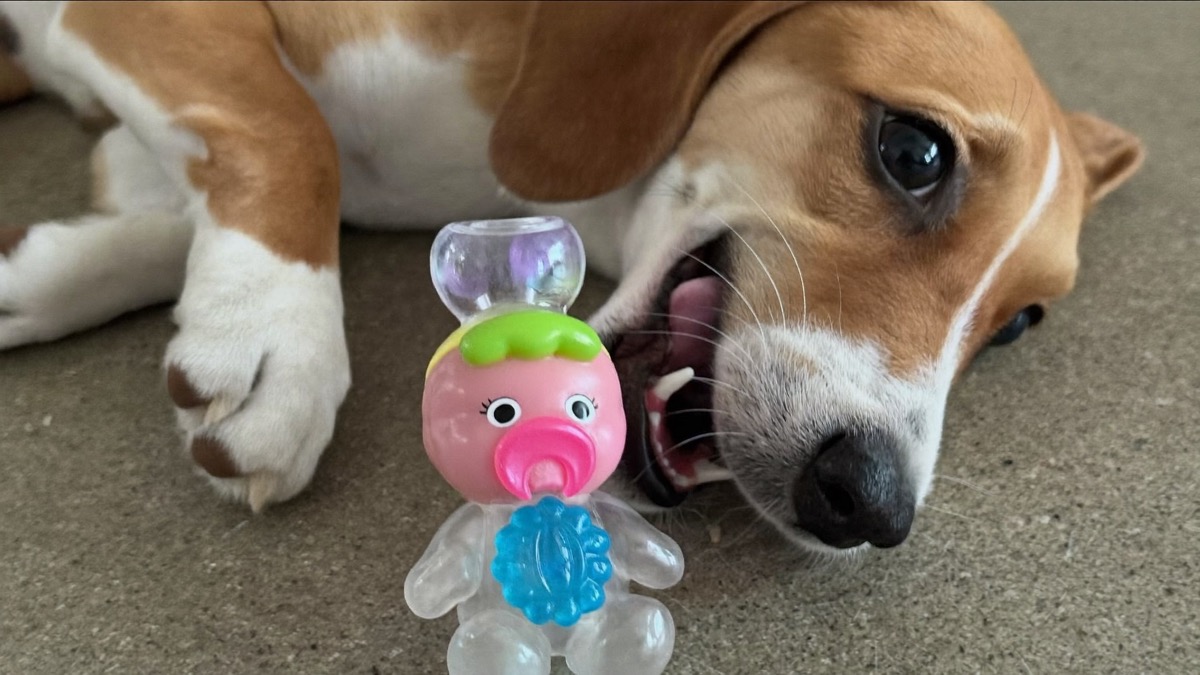 A frozen stuffed chew soothes teething gums — doubly welcome in the heat