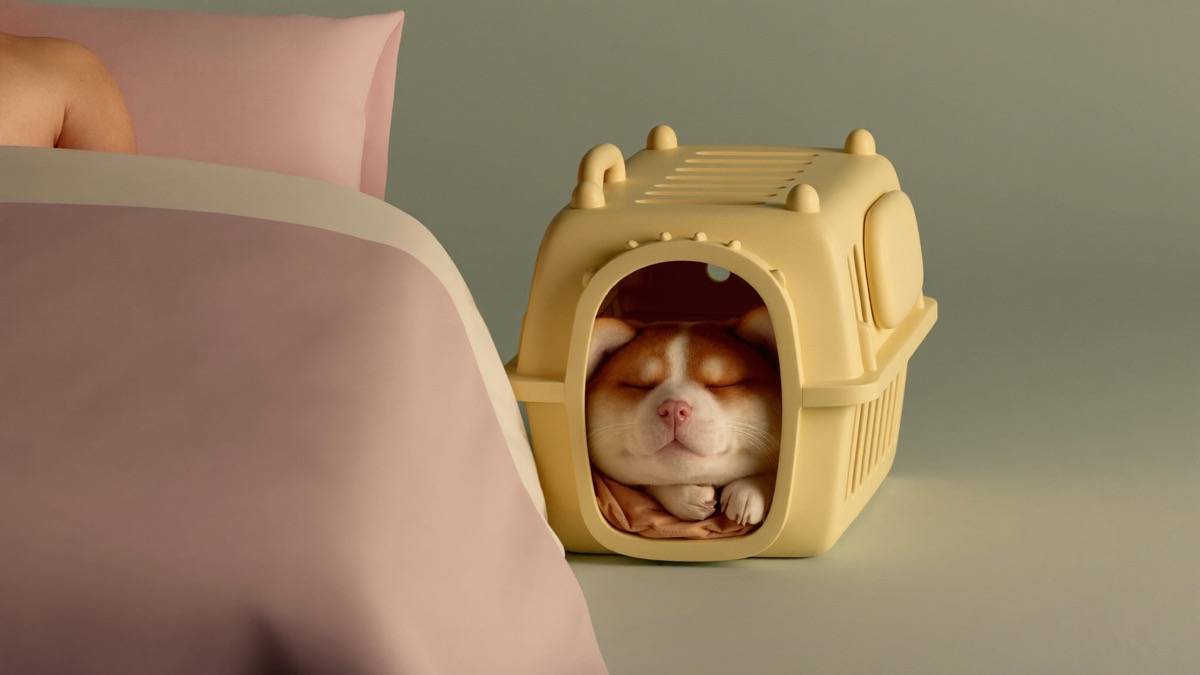 A crate beside your bed lets a puppy smell you — the fastest route to quiet nights