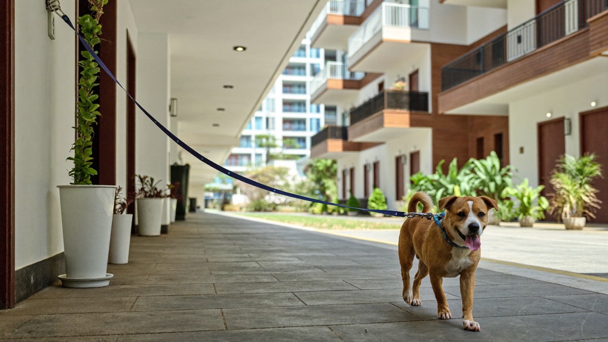 Checking the corridor, lift rules and walking route before signing the lease