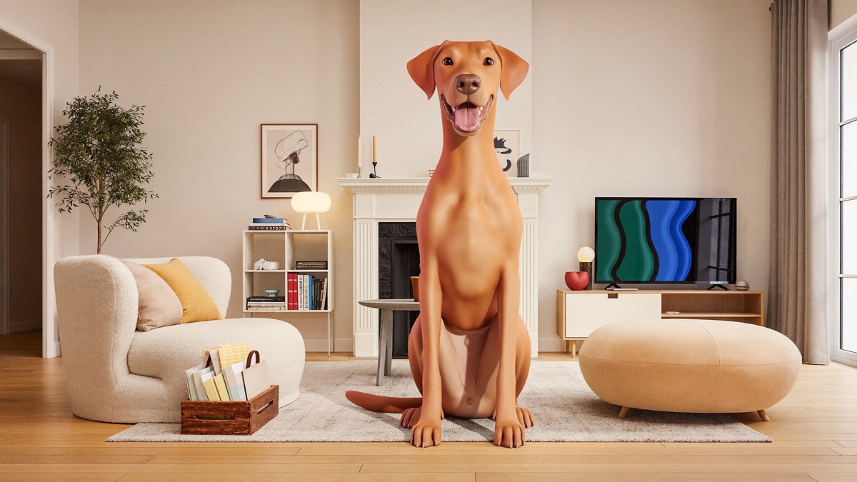 Project ADORE lets an HDB household keep one local mixed-breed up to 55cm