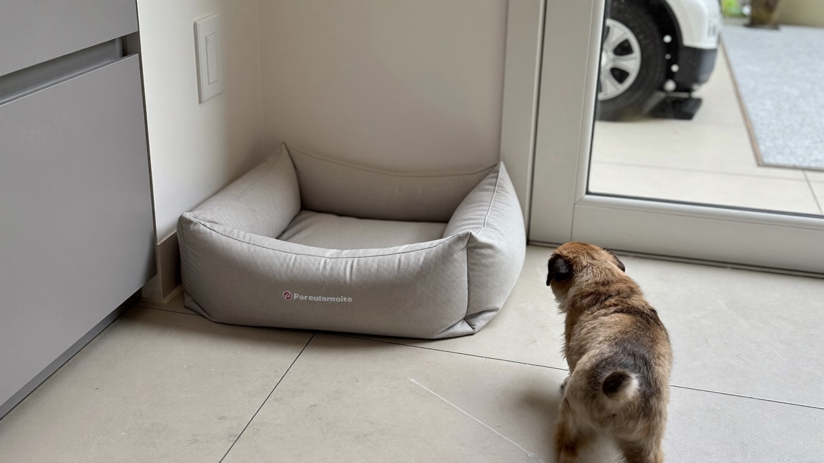 A fixed pee pad corner on easy-to-clean tiles — one spot, never moved, is what makes pads work