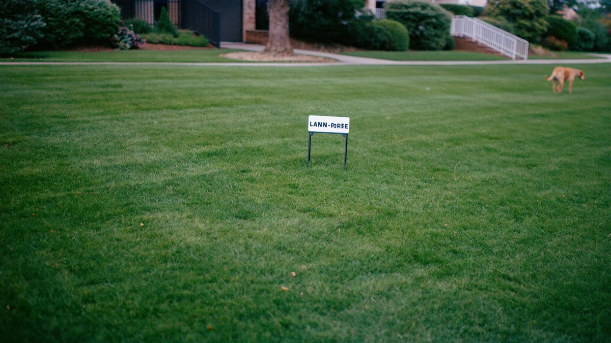The grass rarely harms — pesticides and toxic plants around it can