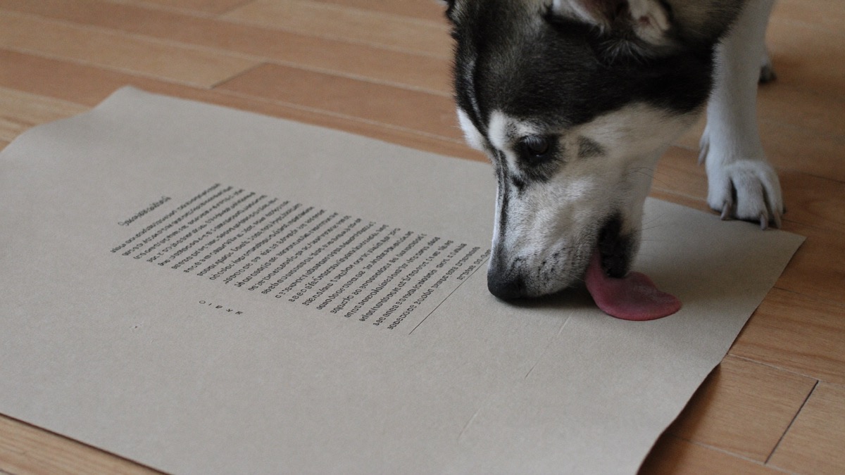 A lick mat redirects the urge onto something legal
