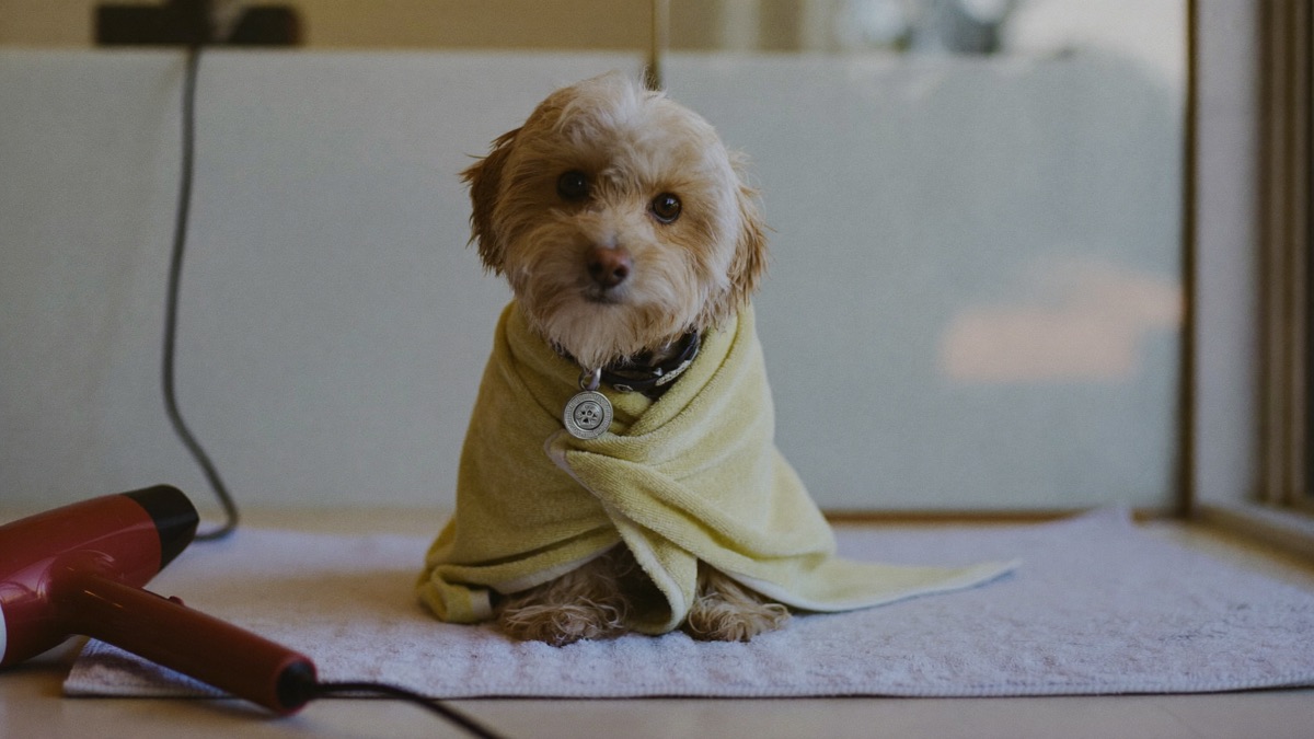 In this humidity, drying to skin level matters more than the wash itself