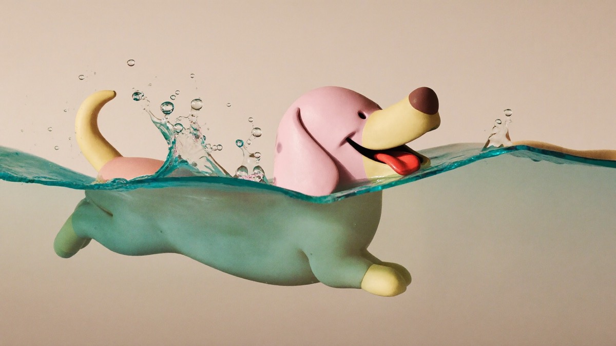 Swimming is the perfect tropical outlet for a water-besotted golden